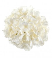 Künstliche Hortensien-Blüte - ivory - 20 cm